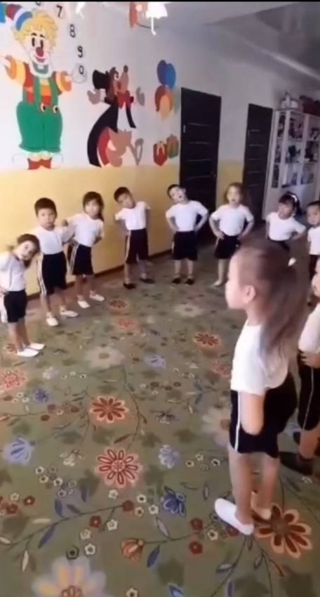 Көгершін тобы.Дене шынықтыру